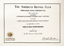 Camus Trick Dog certificate.