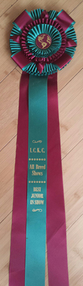 Ribbon