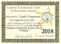 Vinny CKC BCAT certificate.