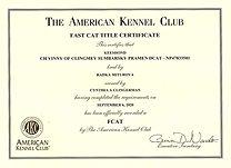 Vinny Fast CAT certificate.