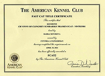 Vinny FCAT2 certificate.