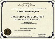 Vinny Grand Show Champion.