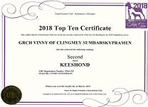 Vinny 2018 Top 10 certificate.