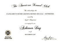 Boo, Achiever Dog certificate.