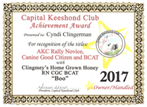 Boo, CKC award.