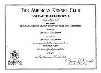 Boo FCAT certificate.