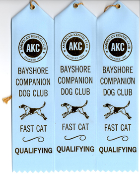 Boo's FCAT ribbons