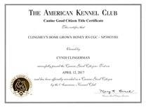 Boo, AKC Good Citizen certificate.