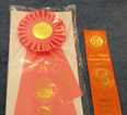 Jossa won beginner puppy 4 to 6 mo. Feb. 1, 2015 Wildwood NJ, non-sporting group