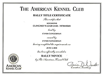 Jossa, Rally title certificate.