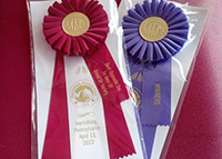 Kandy, Best Female and Best of Breed, 7/8/12