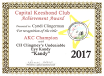 Kandy, CKC award.