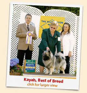 Kayah 'Best of Breed' 