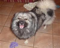 Kayah