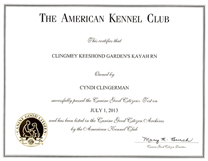 Kayah Canine Good Citizenship Certficate.