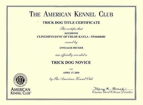 Kayla Trick Dog Novice cert.
