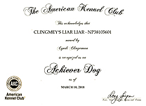 Liar Liar, Achiever Dog certificate.