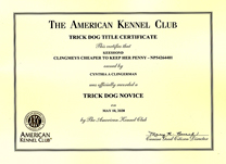 Penny CH certificate.