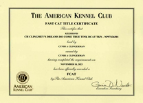 Tink, FCAT certificate.