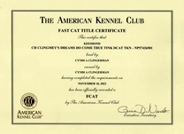 Tink, FCAT certificate.