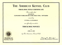 Tink, TKN certificate.