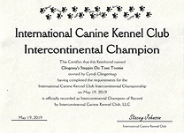 Tootsie IC CH  certificate.