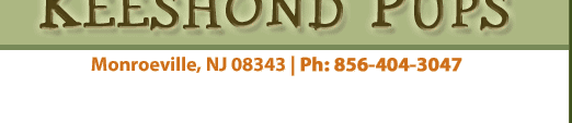 SEO KEY WORD 1 GOES HERE