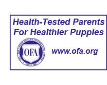 OFA ad