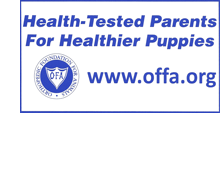 OFFA ad
