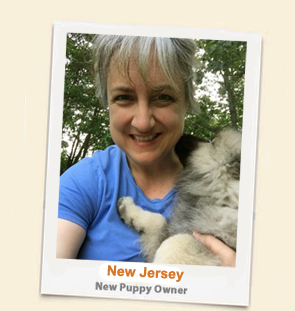 New Jersey