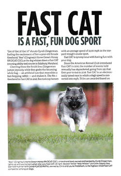 Today's Breeder article page 2