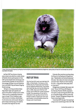 Today's Breeder article page 4