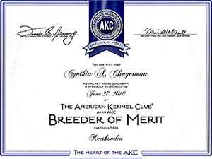 Breeder of Merit certificate