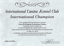 Vinny Int CH certificate.