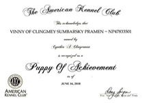 Vinny Puppy Achievement Award.
