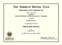 Zaan, Trick Dog Novice certificate.