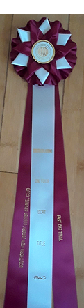 Ribbon