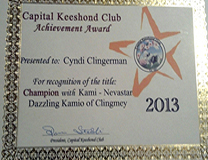 Kami 2013 award