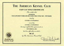 Tink, BCAT certificate.