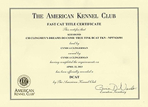 Tink, DCAT certificate.