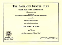 Tootsie, TKN certificate.