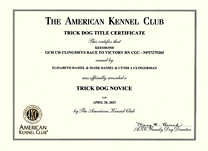 Tori, Trick Dog Novice certificate.